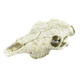 NOMOYPET Exotic Reptile Hide Landscape Skull Bone (21x7.5cm)